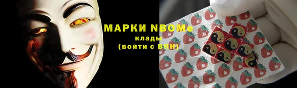apvp Алексин