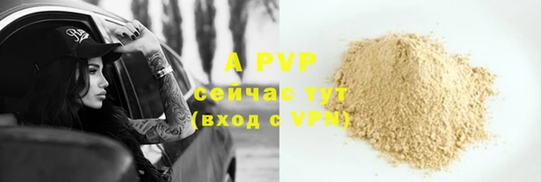 apvp Алексин