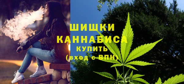 сатива Алзамай