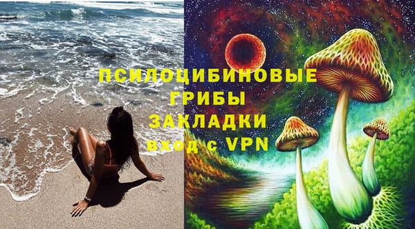 apvp Алексин