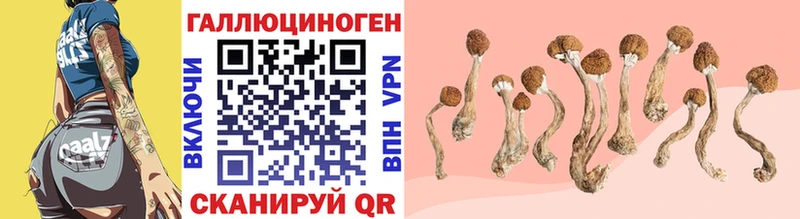Псилоцибиновые грибы прущие грибы  Йошкар-Ола 